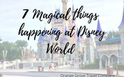 7 Magical MUST DO Experiences at Disney World