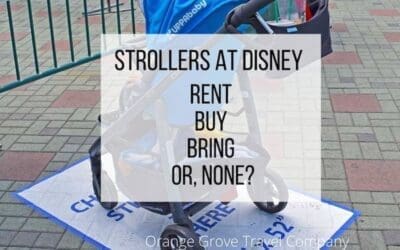 Strollers at Disney: Rent? Bring? None? What to do???